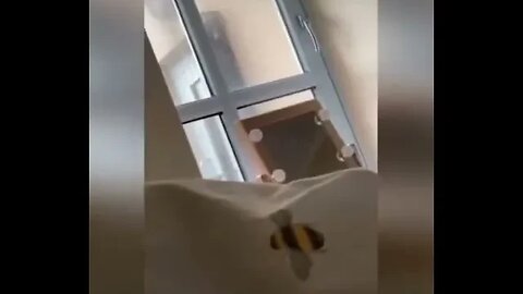 Estoy Asustada!