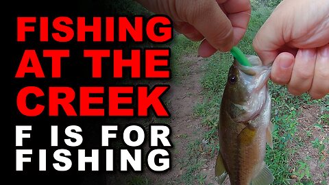 Fishing At The Creek