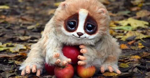 Helping animals are so cute - try not to say "awww"