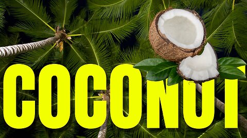 🌴 Uncover the Magic of Village Life with Coconut Garden | Village Vibes 🌞