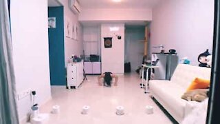 Comment faire du sport avec du papier toilette ?