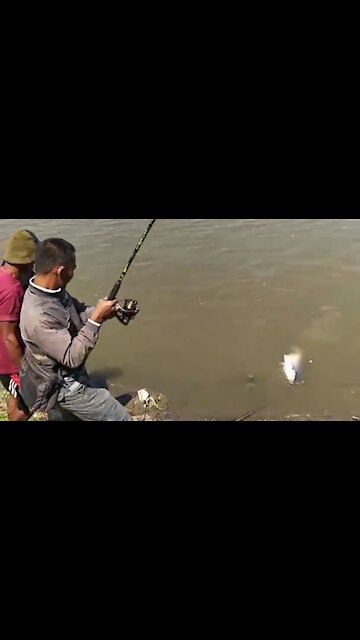 fishing for big fish