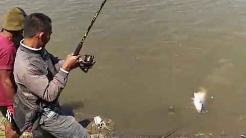 fishing for big fish