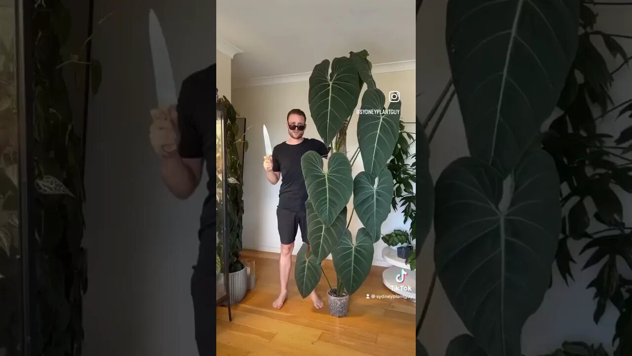 2022 Recap! Thanks for welcoming to YT this year! Can’t believe it’s only been 7 months :)