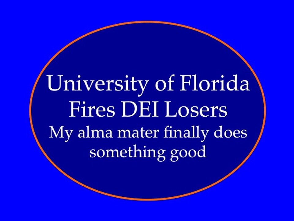 University of Florida Fires DEI Losers