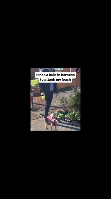 Our most prominent shortcoming lies in surrendering. The most certain method for succeeding