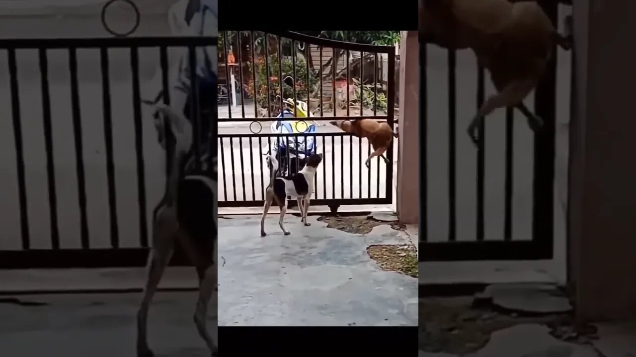 Everyone Has That One Friend Who Gets Them Into Trouble 😂