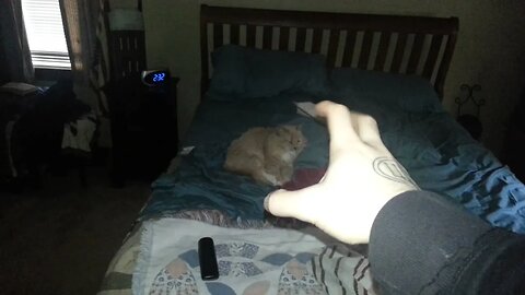 Moving the Kitty with my Mind