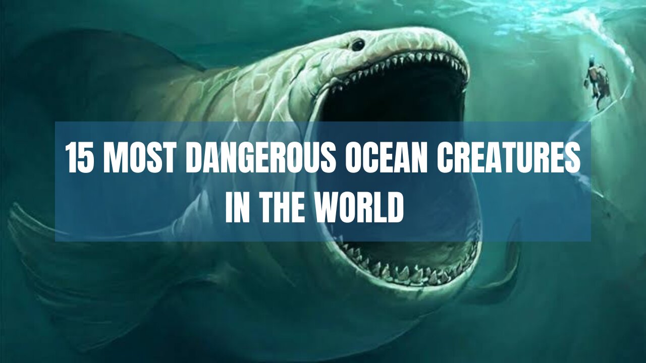 15 Most Dangerous Ocean Creatures In The World