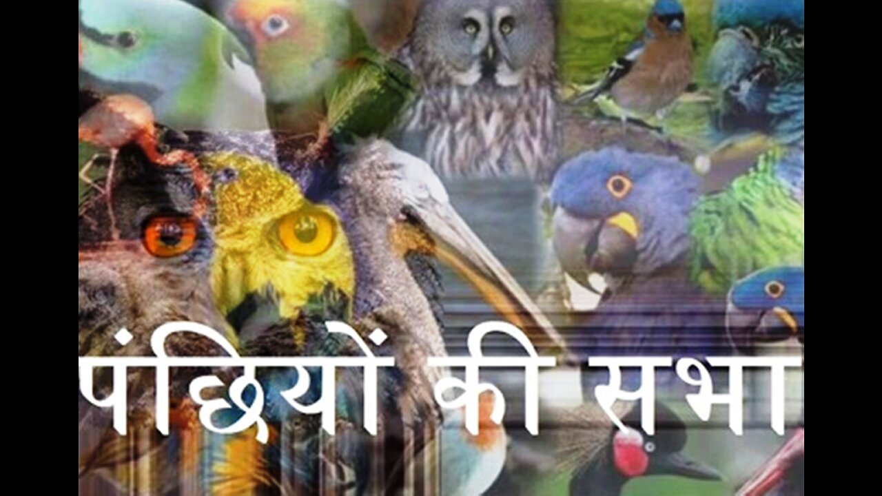 Hindi Stories: "पँछियों की सभा" और "इस खेल का सच"