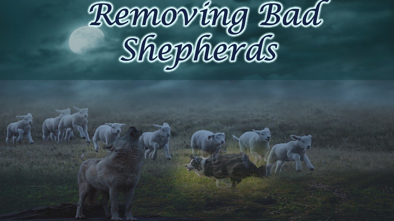 Removing Bad Shepherds