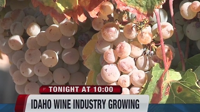 Idaho family adapts farming crops based on industry needs
