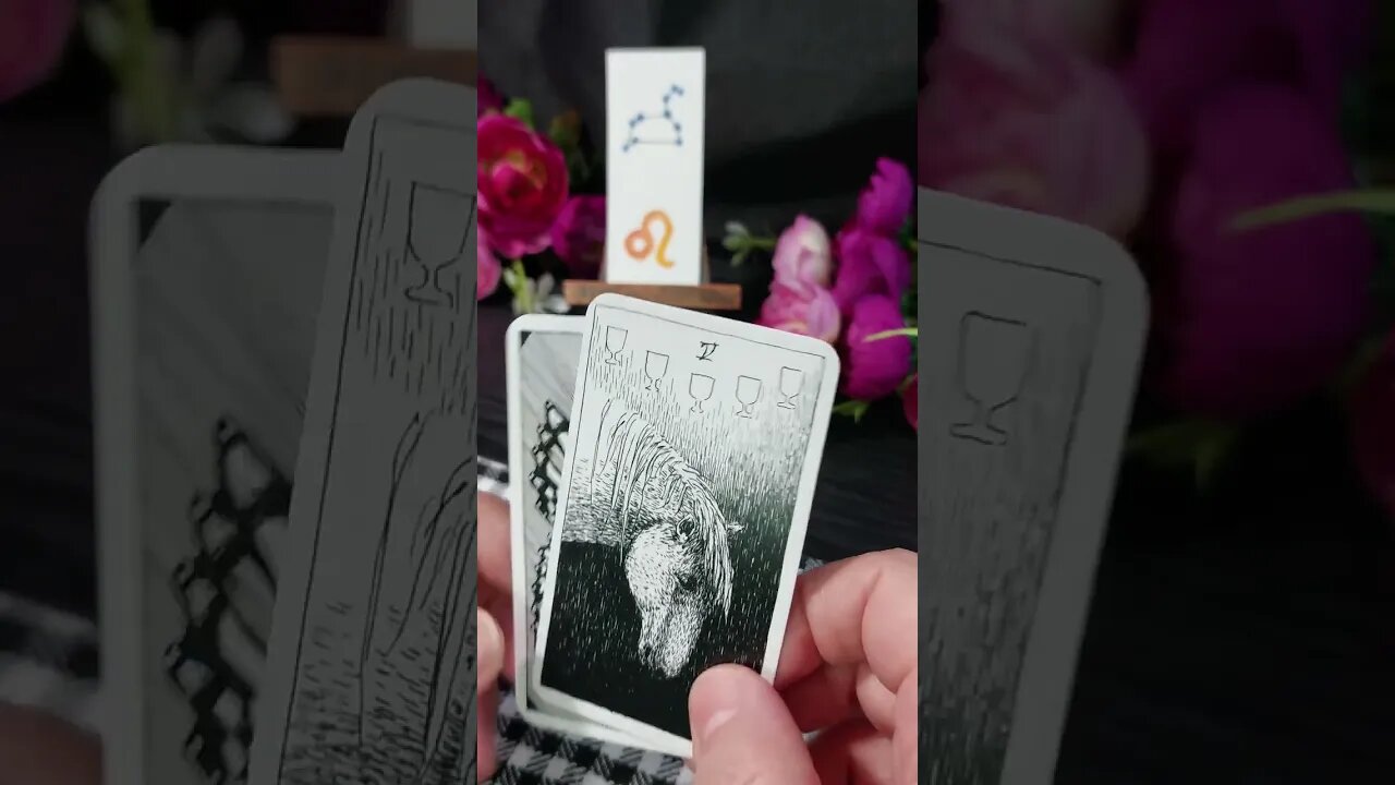 Leo tarot reading quick Insight #leotarotreading #shorttarot