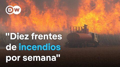 El Gobierno de Brasil sospecha que la ola de incendios es intencional