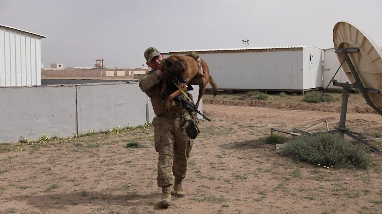 K-9 EOD training