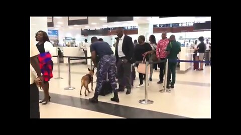 Dog will be now detecting prohibited goods like narcotics at Terminal 3 Ghana