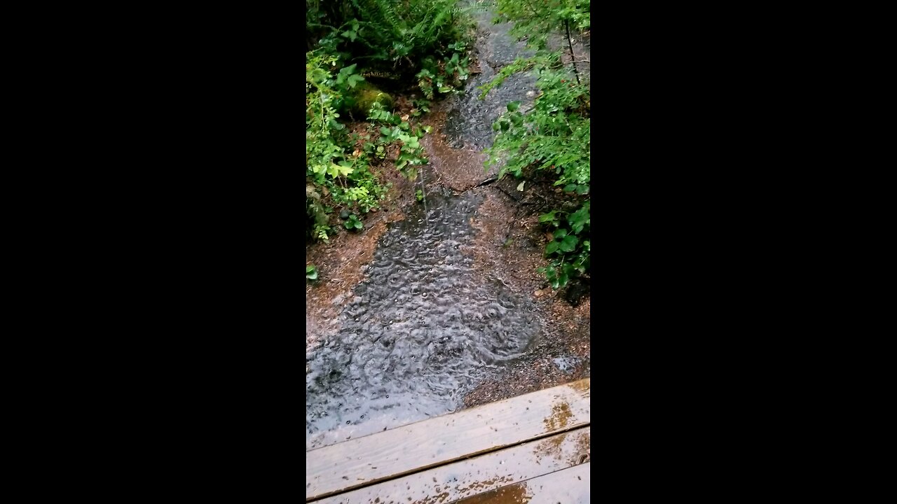 Epic August thunderstorm.