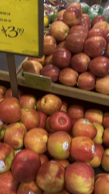 I think I found a morgellon strand