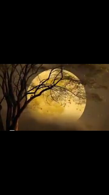 HOW TO FOSTER TRUE FRIENDSHIPS - DAILY DEVOTIONAL ❤️