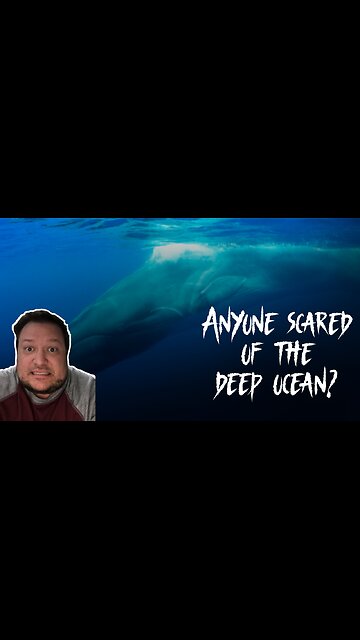 Scuba Diver finds Fin whale in the deep ocean