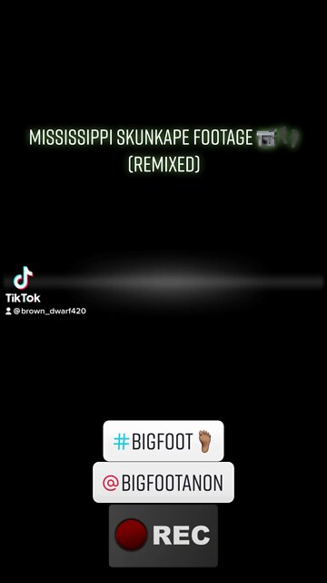 Mississippi Skunkape Footage 👣