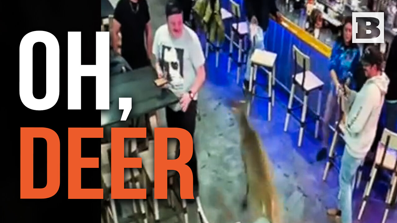 OH DEER! Animal Runs AMOK in Virginia Restaurant
