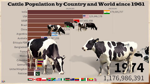 🐮 Cattle Population by Country and World since 1961