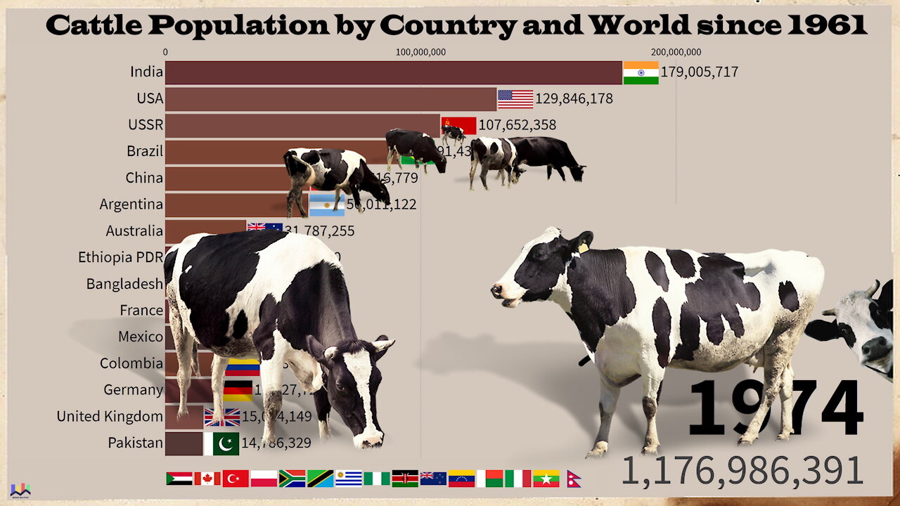 🐮 Cattle Population by Country and World since 1961