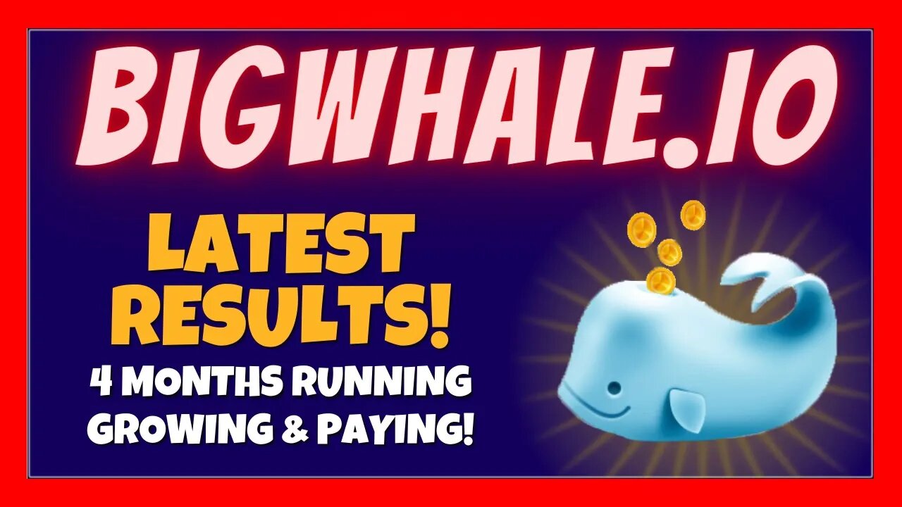 BIGWHALE IO Review 🚀 NEW Income Reports 📈 4 Months Running / Growing & Paying 💰