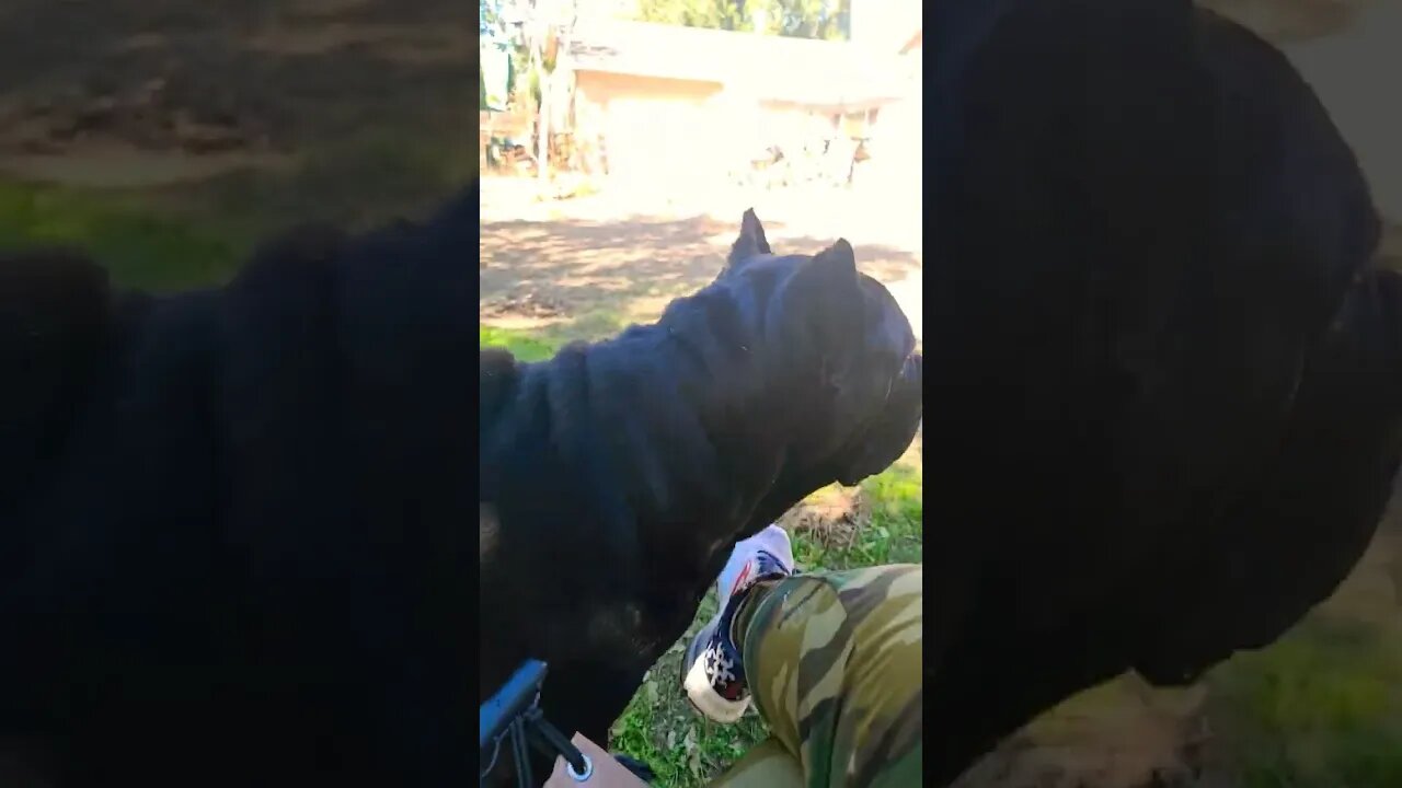 Go outside and enjoy life!