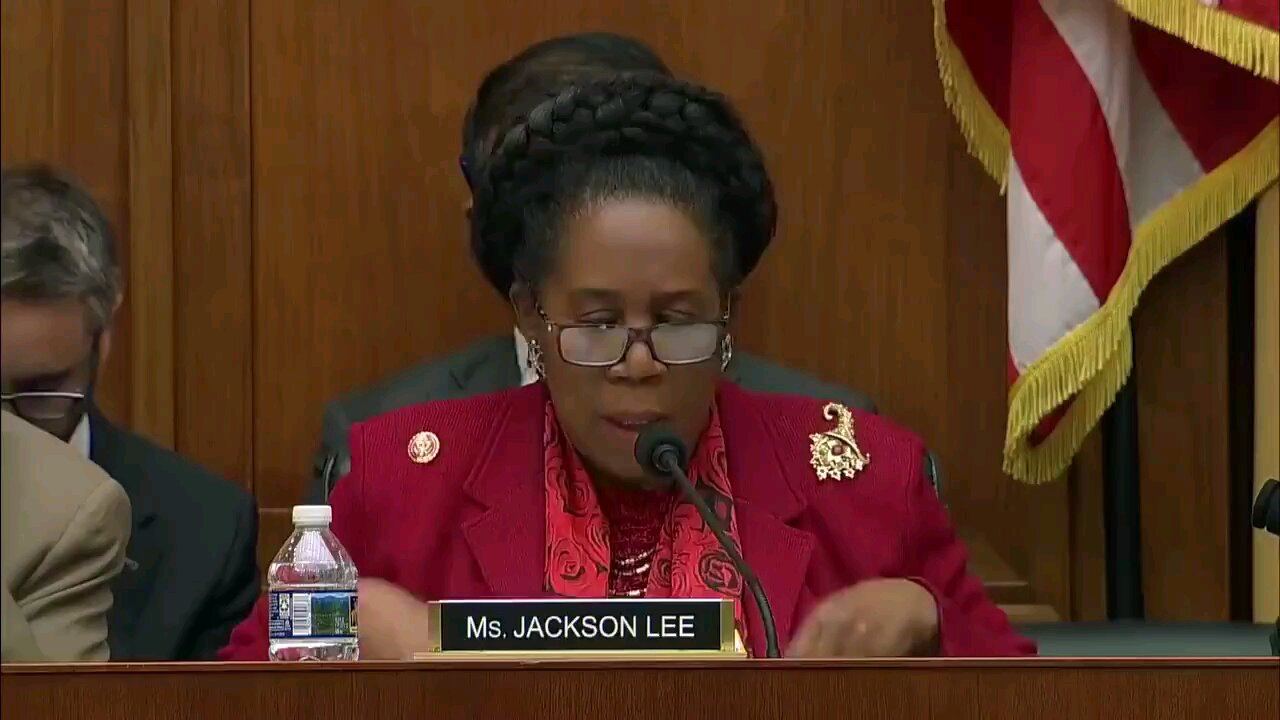 sheila jackson lee wants to outlaw your Right to discuss, Your Replacement Theory.