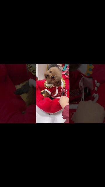 I thought it was a slap in the face, but I didn't expect it to be a fire