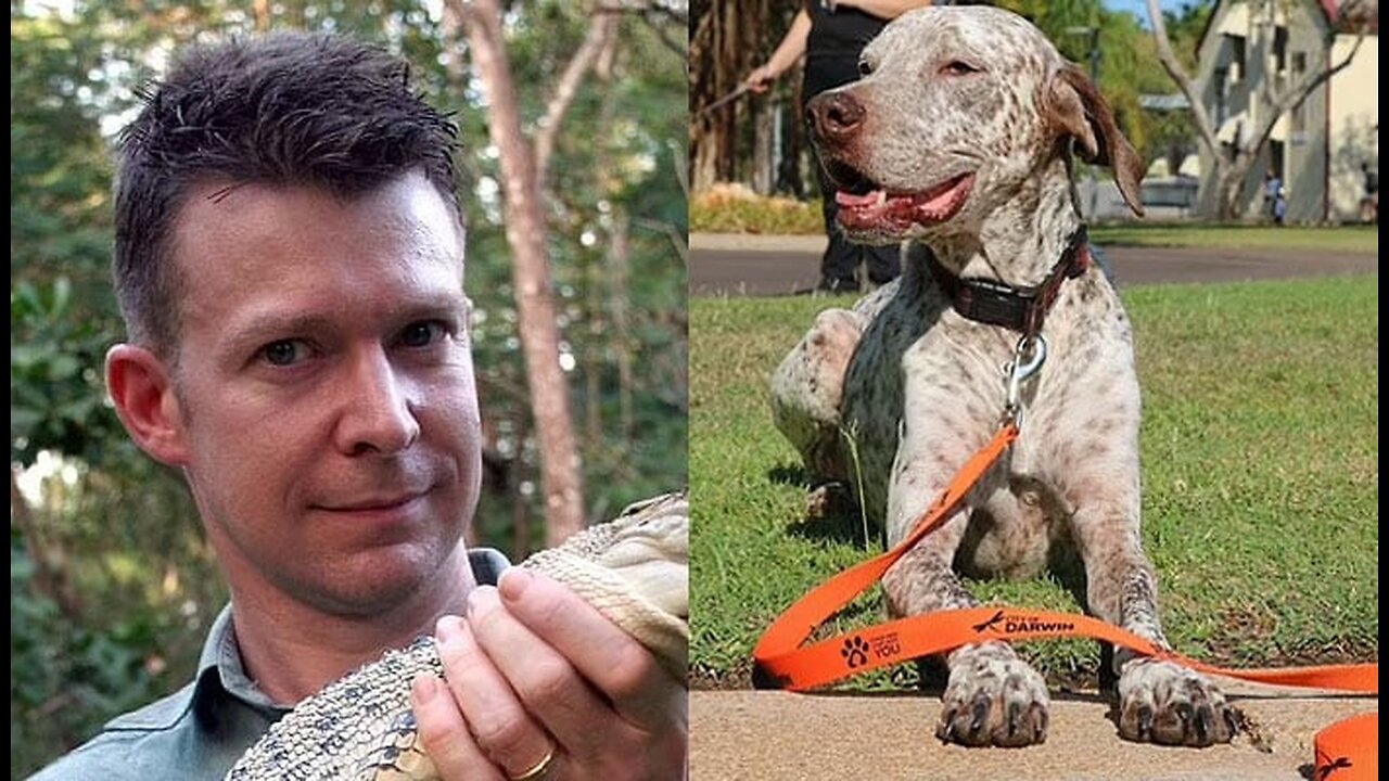 BBC Presenter Adam Britton Jailed For Raping, Torturing And Killing Dozens Of Dogs🤢 🤮