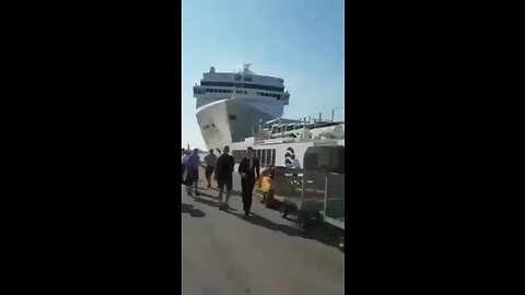 🚢RUN FOREST RUN
