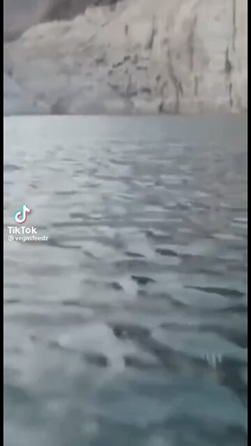 DEAD BODIES FOUND IN RECEDING LAKE MEAD