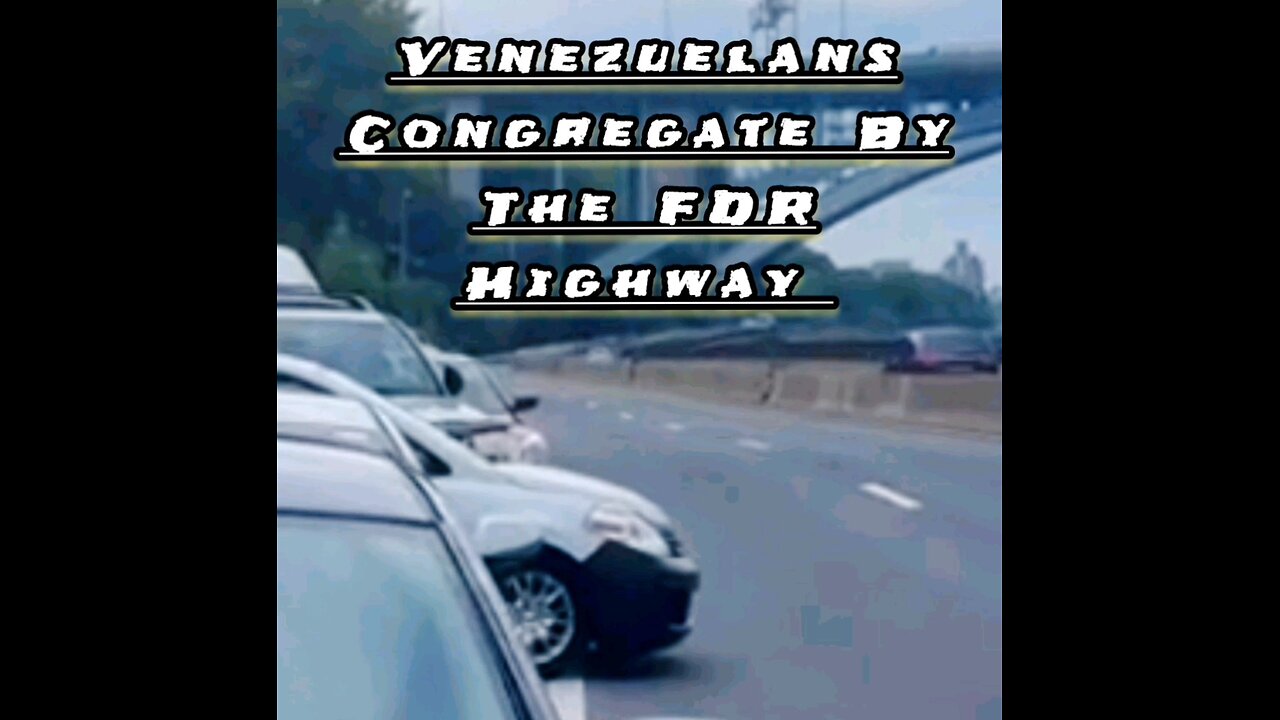 VENEZUELANS CONGREGATE BY FDR HIGHWAY