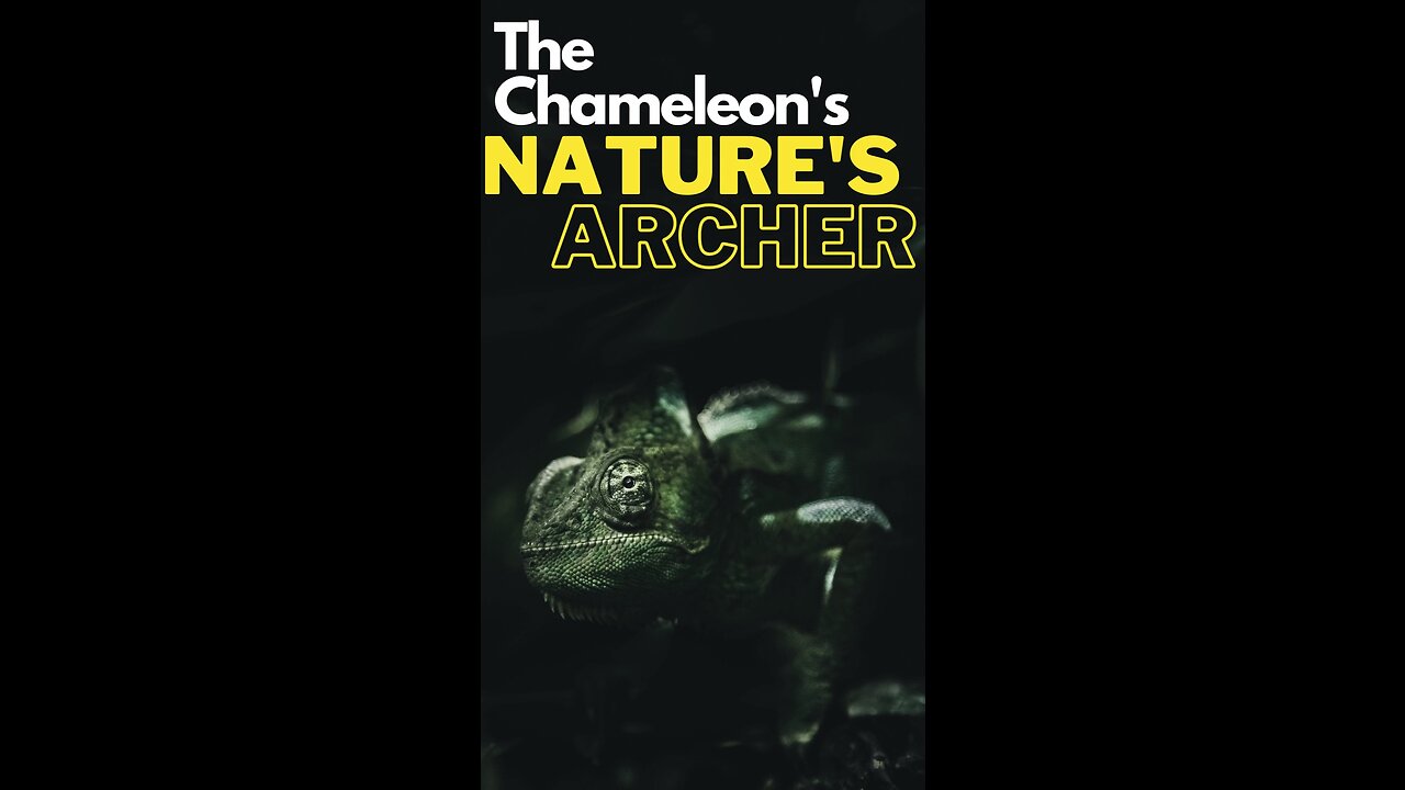 "Nature's Astonishing Archer: The Chameleon's Incredible Tongue"