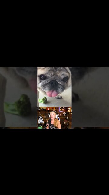 Kristen Does Sound #shorts