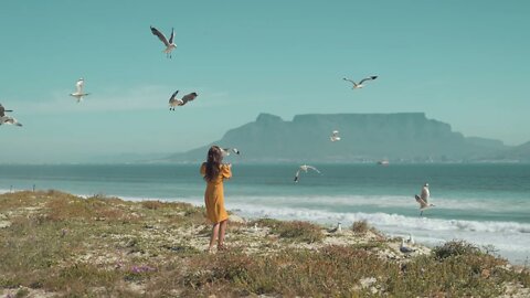Woman Trying to Feed Seagulls at the Beach#short