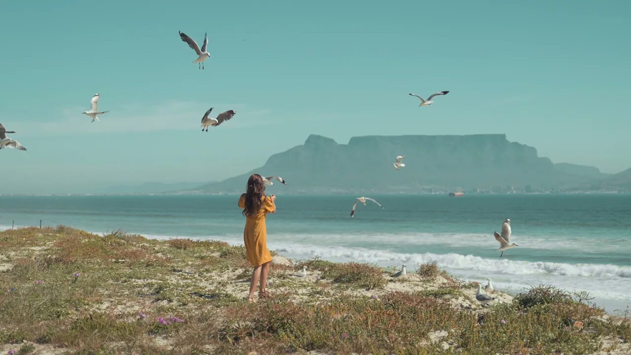 Woman Trying to Feed Seagulls at the Beach#short
