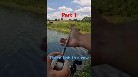 #bassfishing #fishing #pondfishing I caught three fish in a row