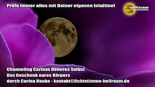 Channeling Carinas Höheres Selbst - Das Geschenk eures Körpers - durch Carina Hauke