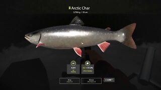 Russian Fishing 4 Kuori lake Arctic Char 3.758 Kg