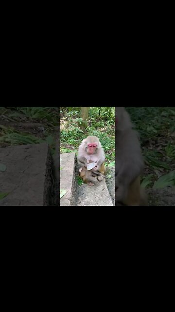 Most Amazing and trending video||relaxing your mind||trendig videos|| #shorts #trending #viral #live