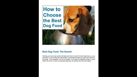 Best Dog food to make at home