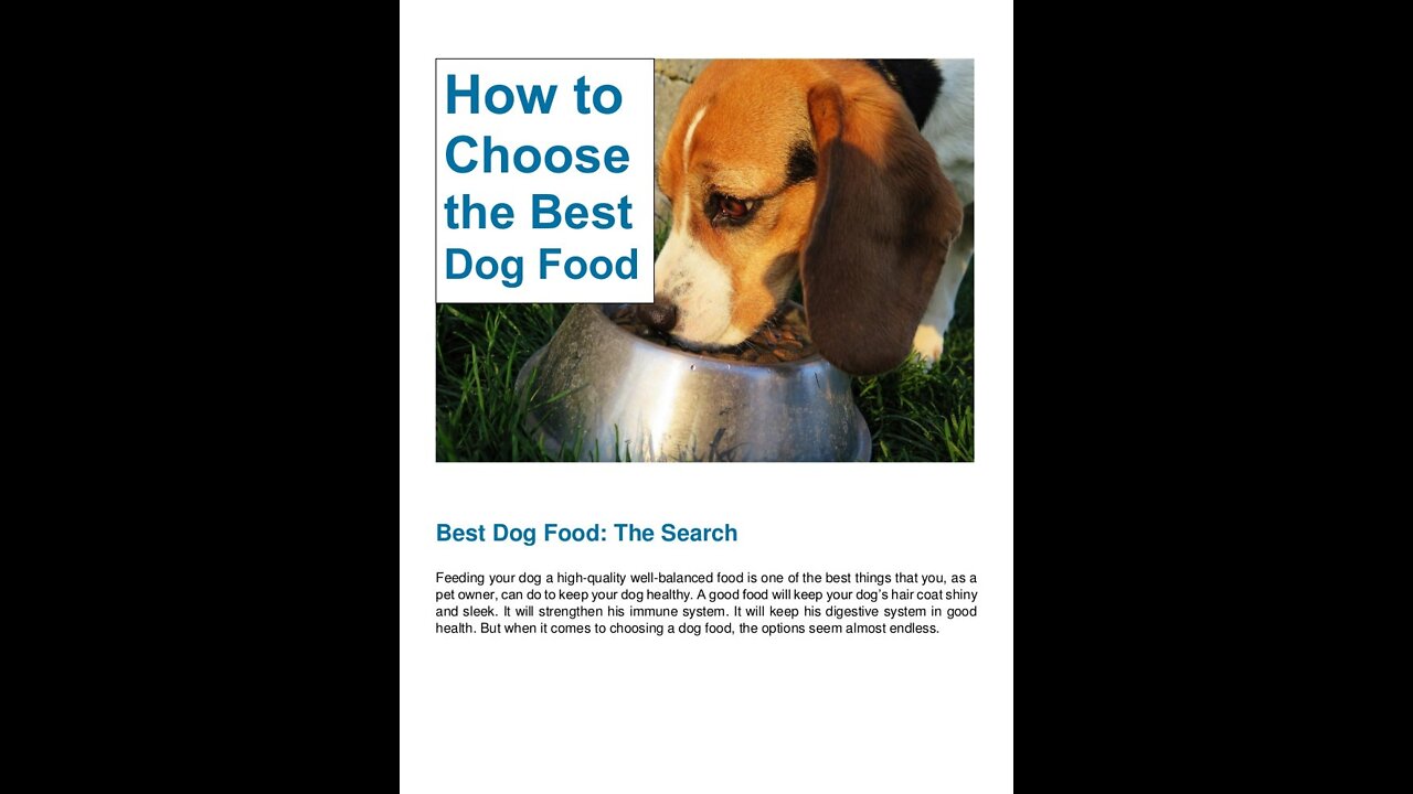 Best Dog food to make at home