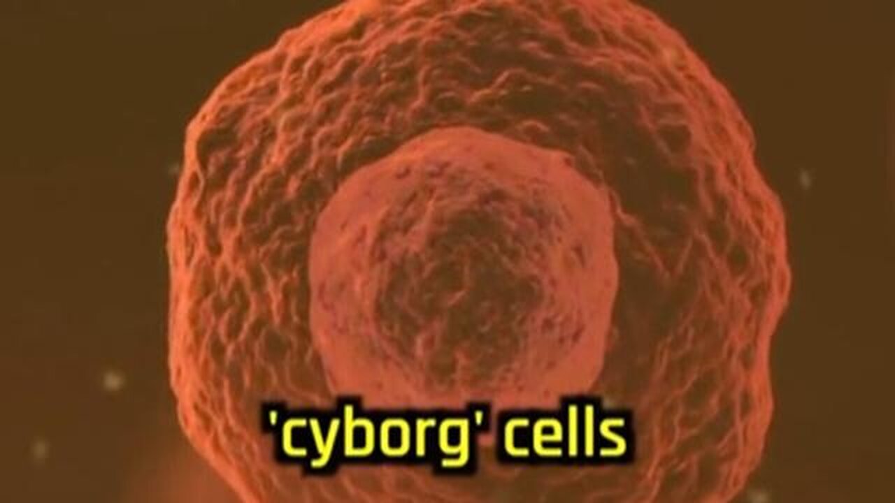 Hybrid biological entities - why the cabal wants to turn us into CYBORGs