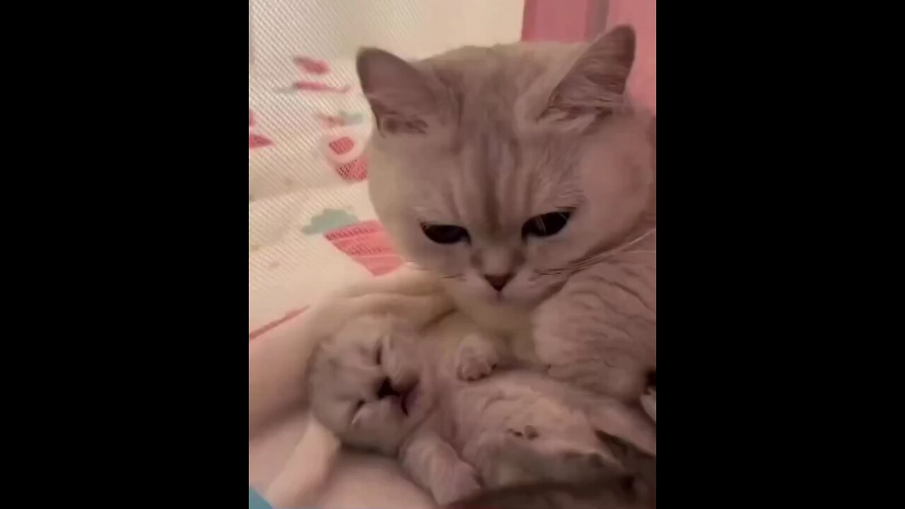 hush