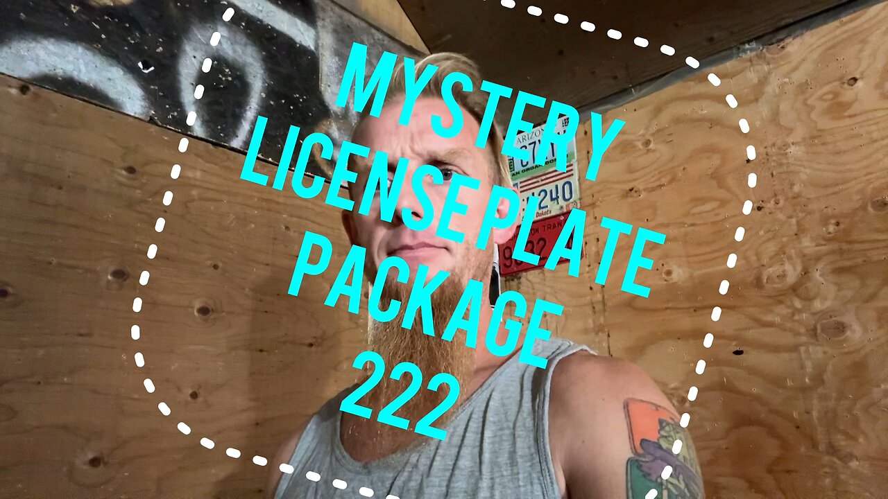 Mystery license plate package 222