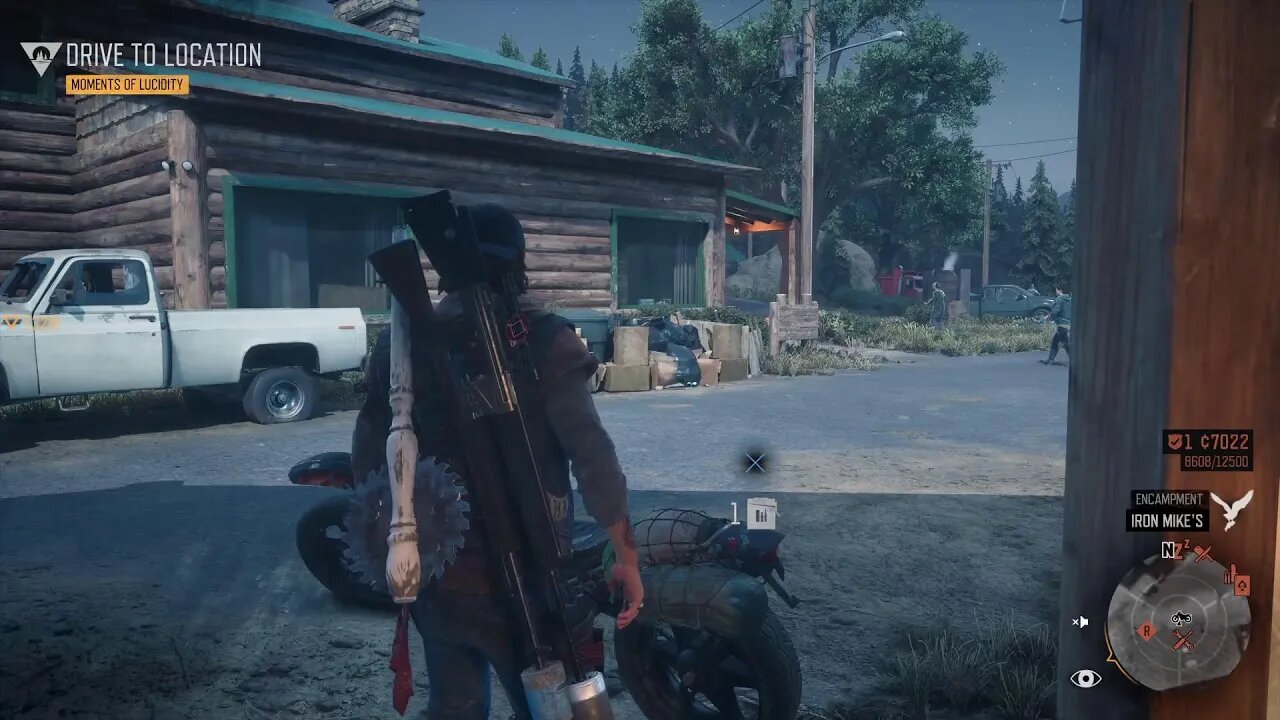 Days Gone